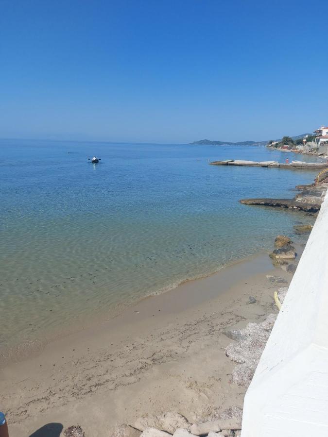 Aparthotel Pansion Alexandros By The Sea Nea Skioni Esterno foto