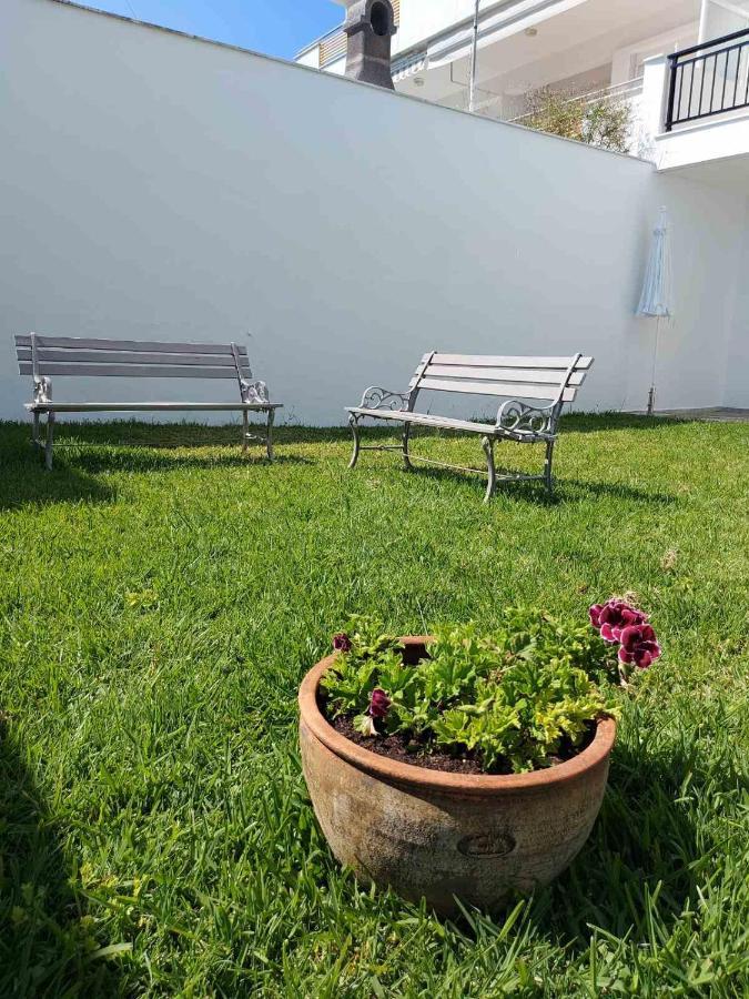 Aparthotel Pansion Alexandros By The Sea Nea Skioni Esterno foto